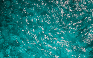 Întrebări frecvente (FAQ)